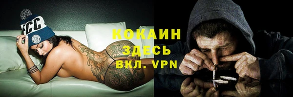 таблы Осинники