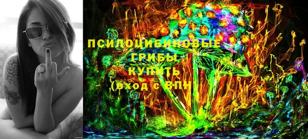 таблы Осинники