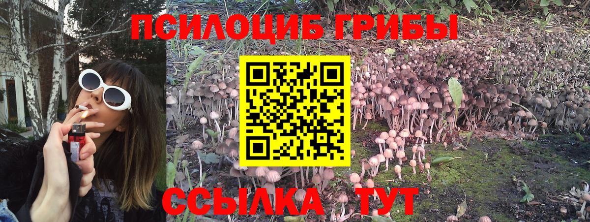 Псилоцибиновые грибы мицелий  Вход с VPN  наркотики  Кстово 