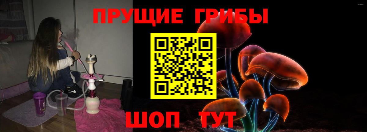 Псилоцибиновые грибы мицелий Кстово